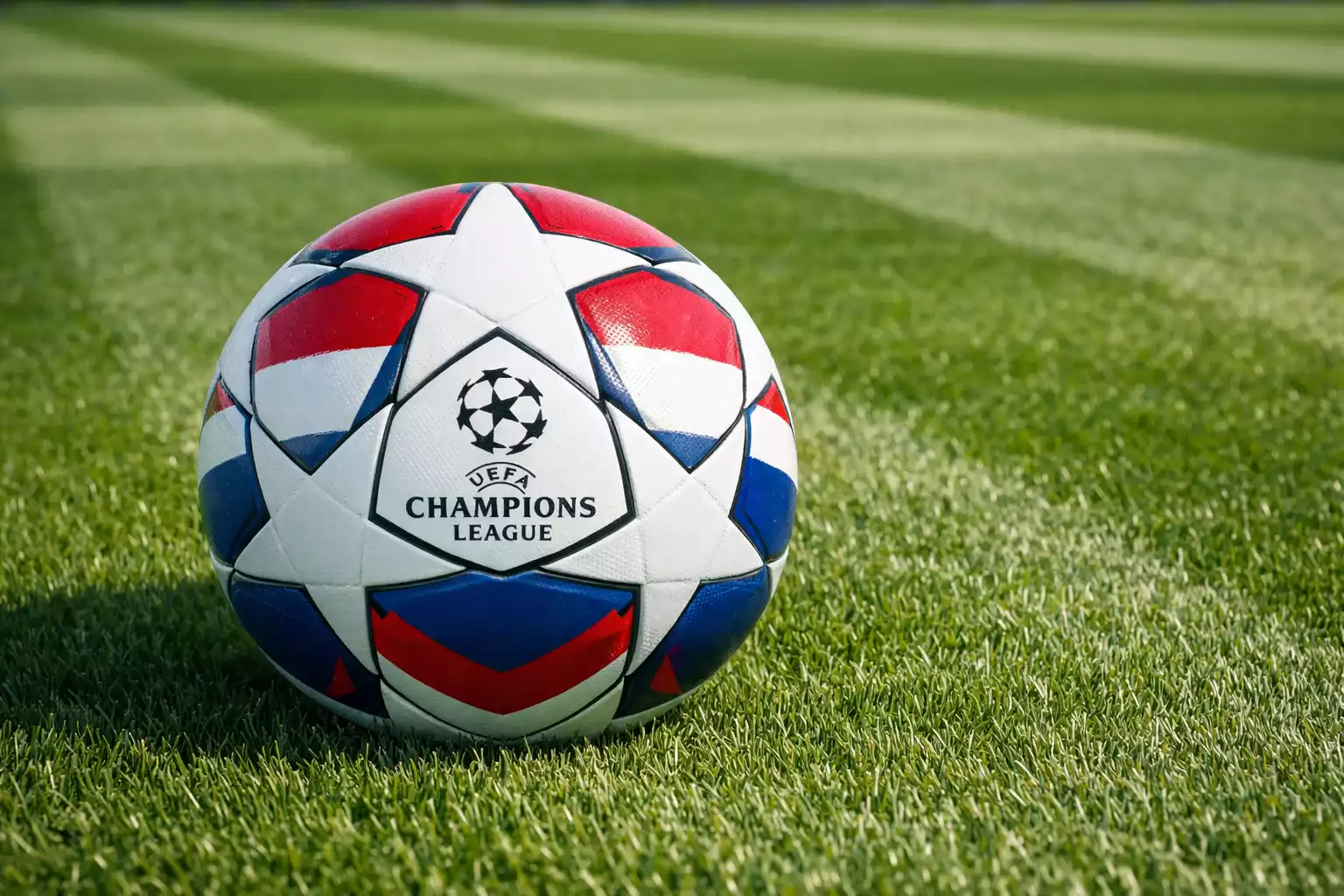 Champions League bal op gras van Nederlands voetbalveld